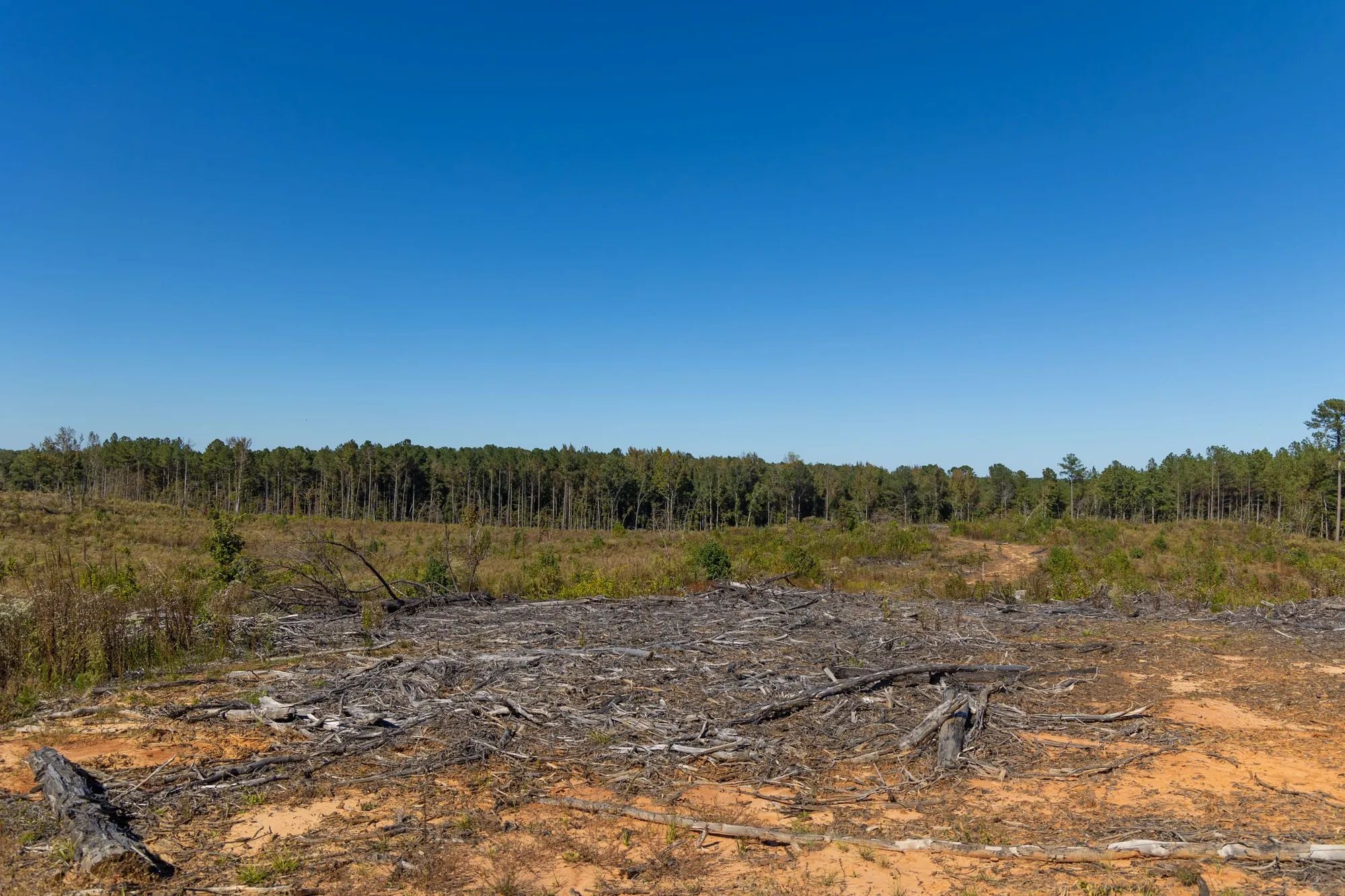 Meyer’s Ridge Tract 28 in Attala County, MS