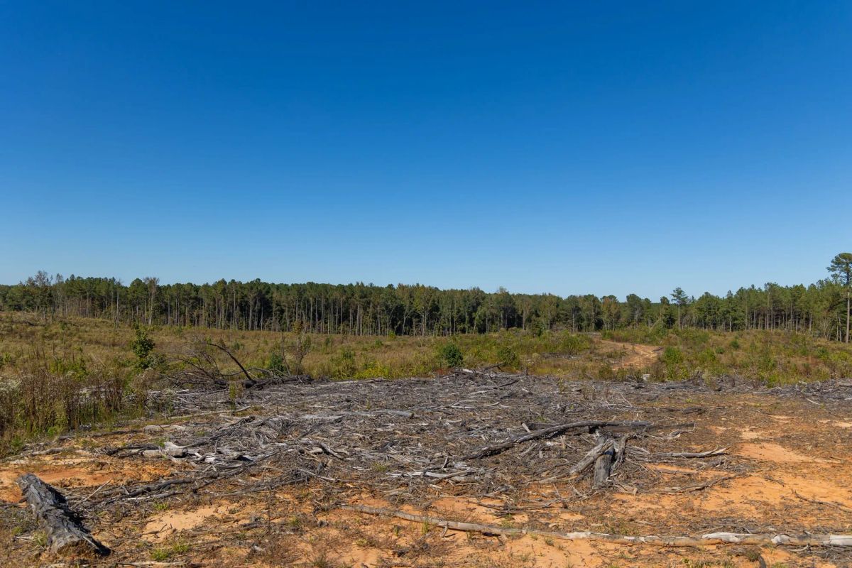 Meyer’s Ridge Tract 28 - Image 2
