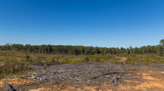 Meyer’s Ridge Tract 28 in Attala County, MS