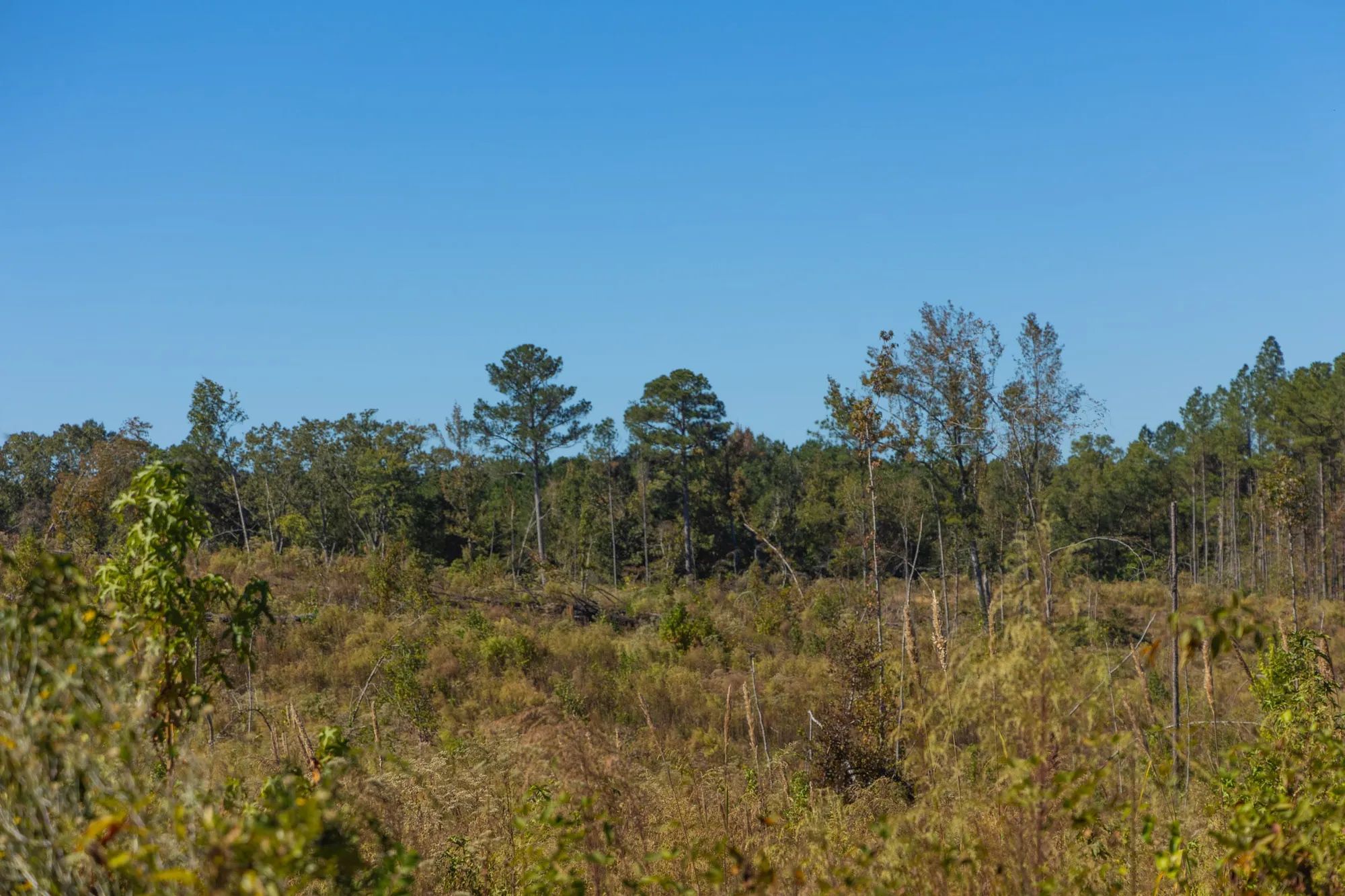 Meyer’s Ridge Tract 28 in Attala County, MS