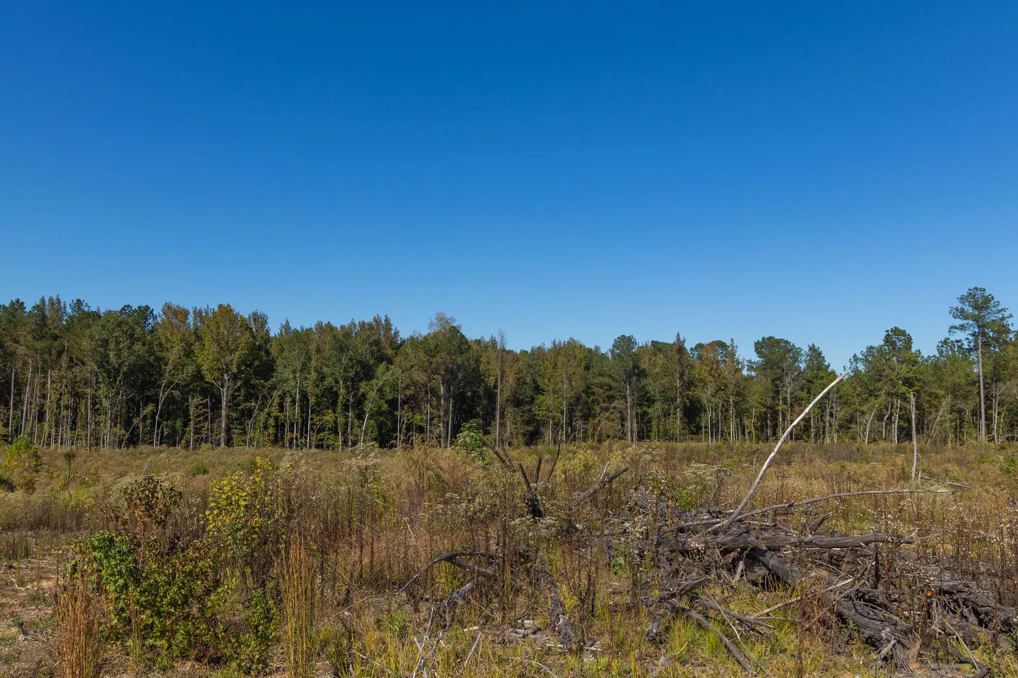 Meyer’s Ridge Tract 28 in Attala County, MS