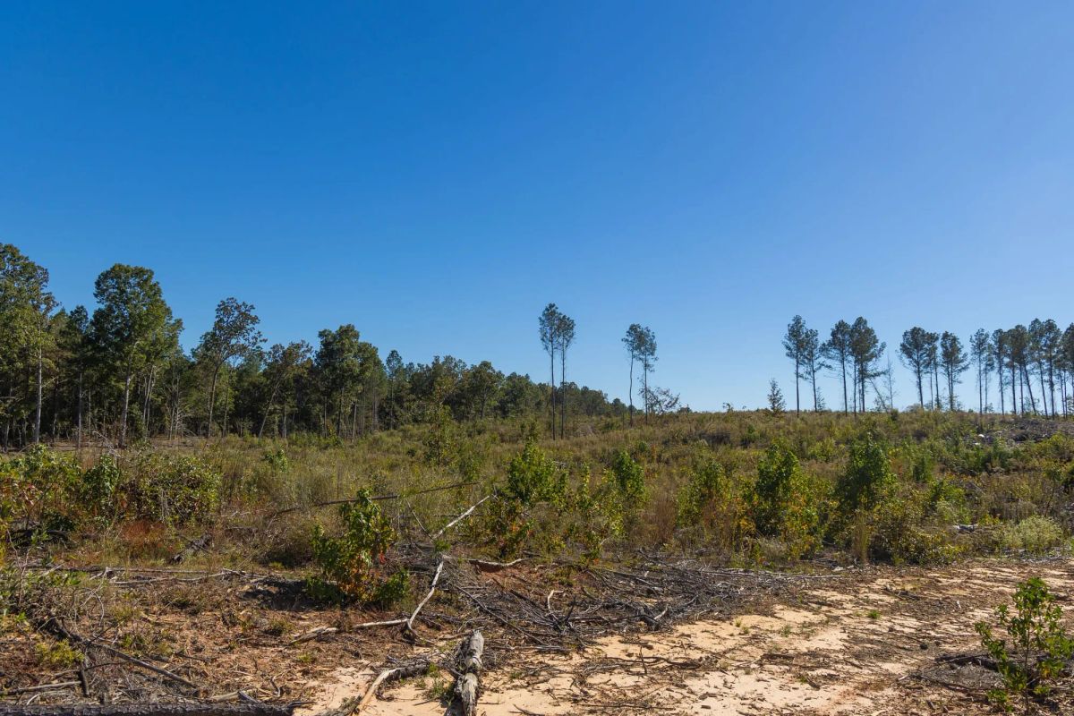 Decorative background for Meyer’s Ridge Tract 28 image 5