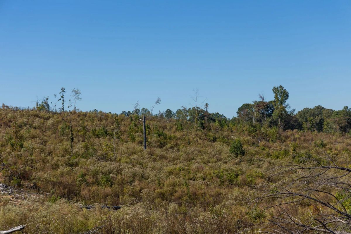Decorative background for Meyer’s Ridge Tract 28 image 7