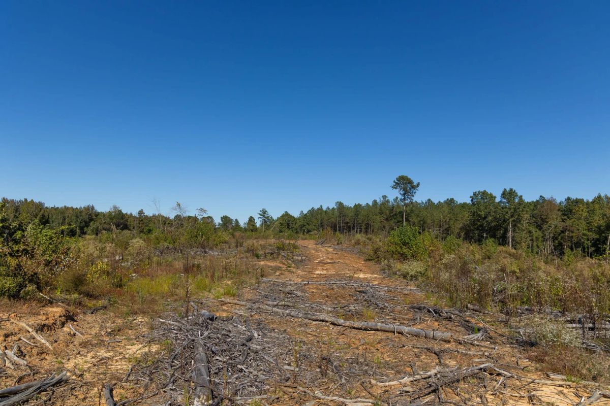 Decorative background for Meyer’s Ridge Tract 28 image 8
