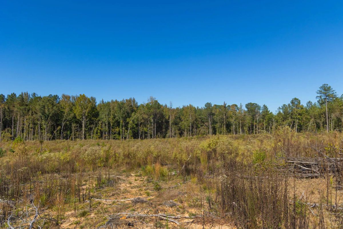 Decorative background for Meyer’s Ridge Tract 28 image 11