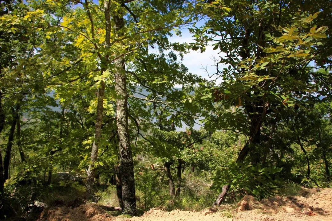 Lakeview Private Reserve Tract 14 - Image 4