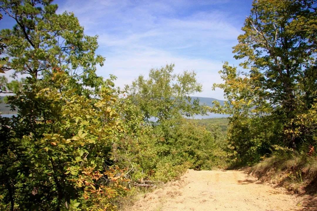 Decorative background for Lakeview Private Reserve Tract 14 image 5