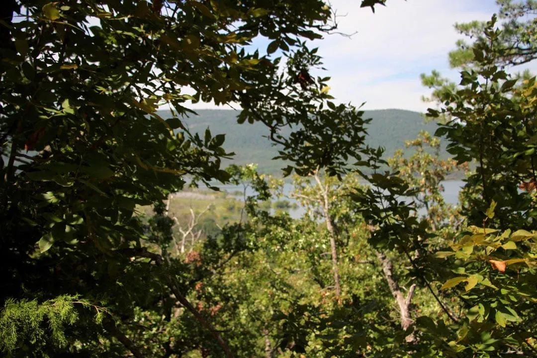 Decorative background for Lakeview Private Reserve Tract 14 image 6
