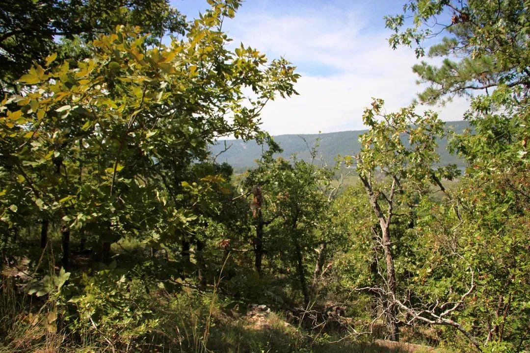 Decorative background for Lakeview Private Reserve Tract 14 image 7