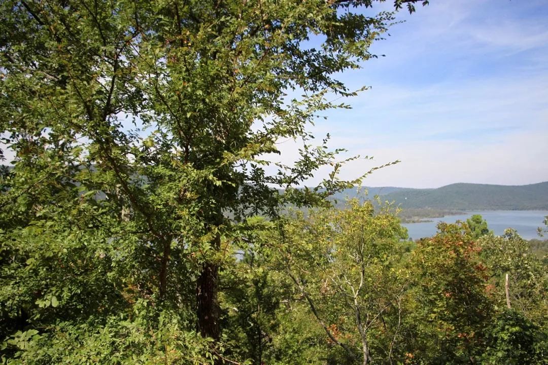 Decorative background for Lakeview Private Reserve Tract 14 image 9