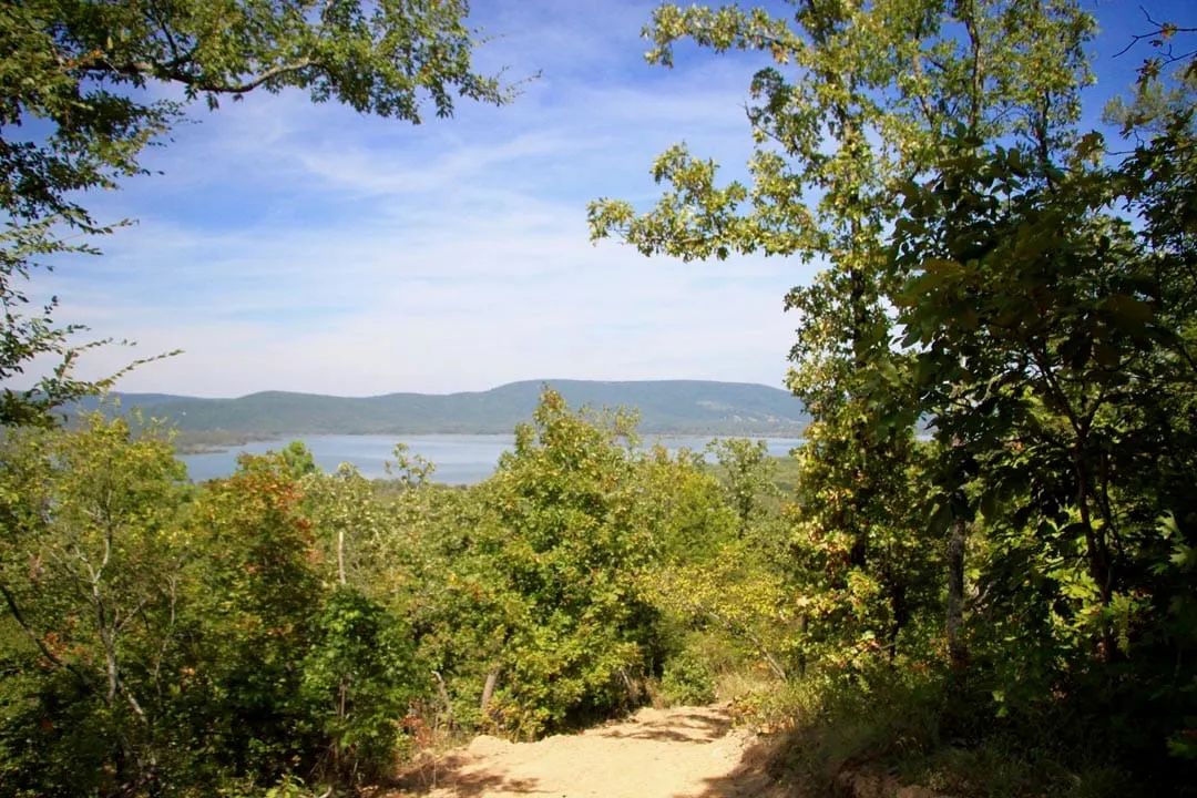 Decorative background for Lakeview Private Reserve Tract 14 image 10