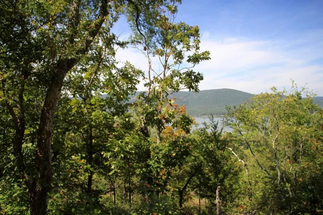 Decorative background for Lakeview Private Reserve Tract 14 image 11