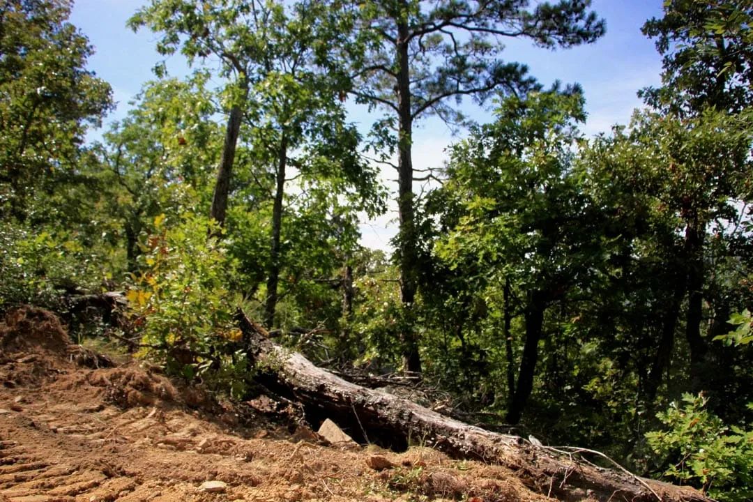 Decorative background for Lakeview Private Reserve Tract 14 image 12