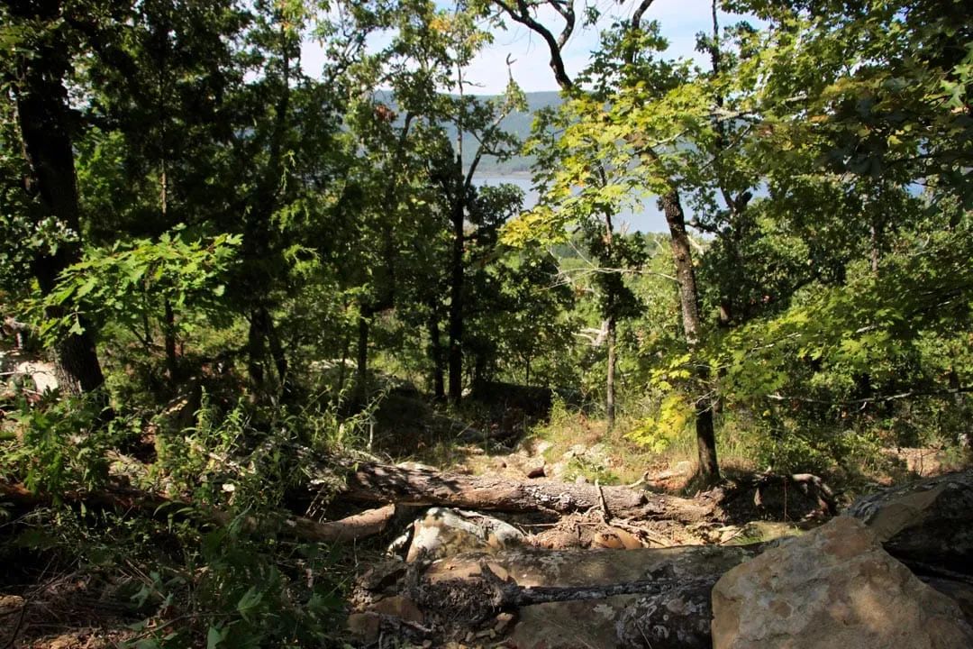 Decorative background for Lakeview Private Reserve Tract 14 image 13