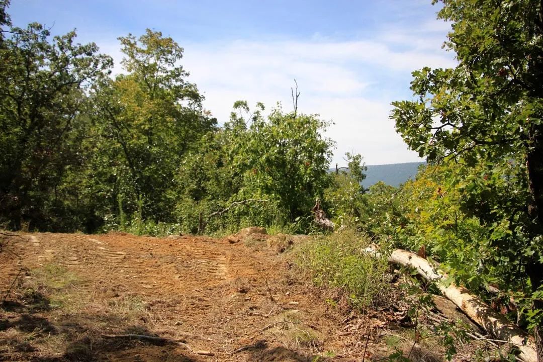 Decorative background for Lakeview Private Reserve Tract 14 image 14