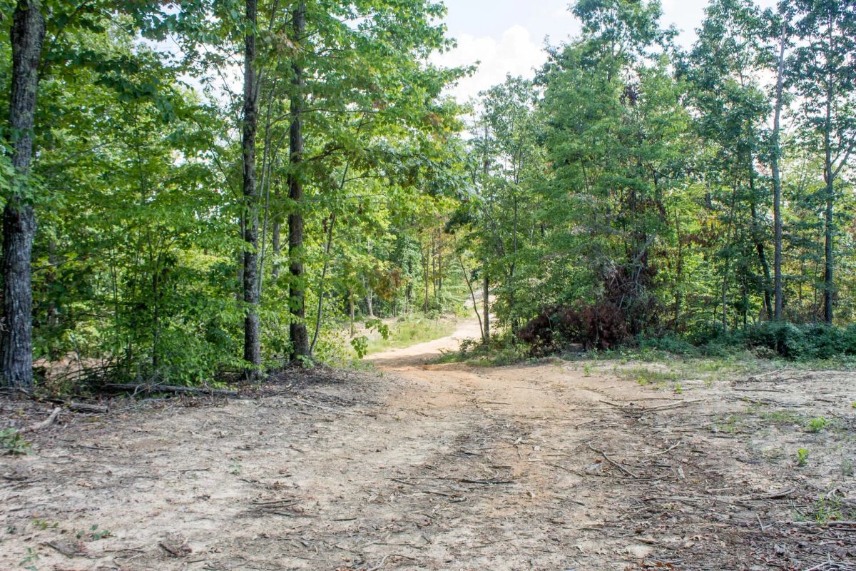 Buck Run Ridge Tract 3 - Main image