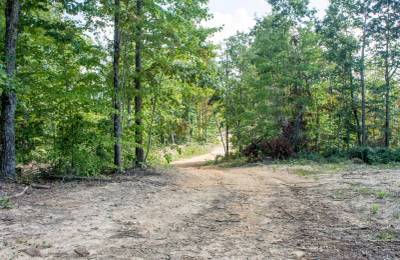 Buck Run Ridge Tract 3