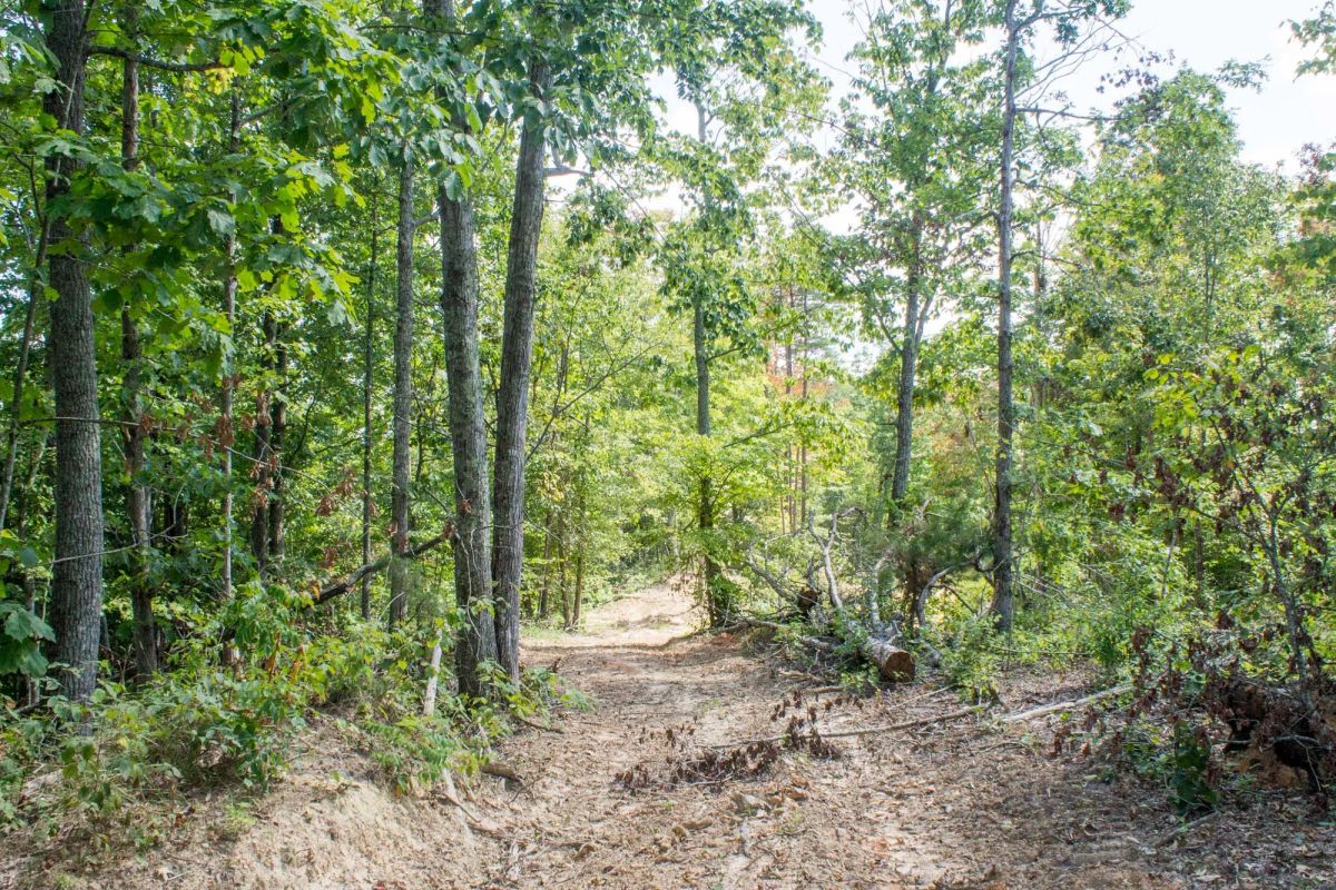 Buck Run Ridge Tract 3 - Image 2