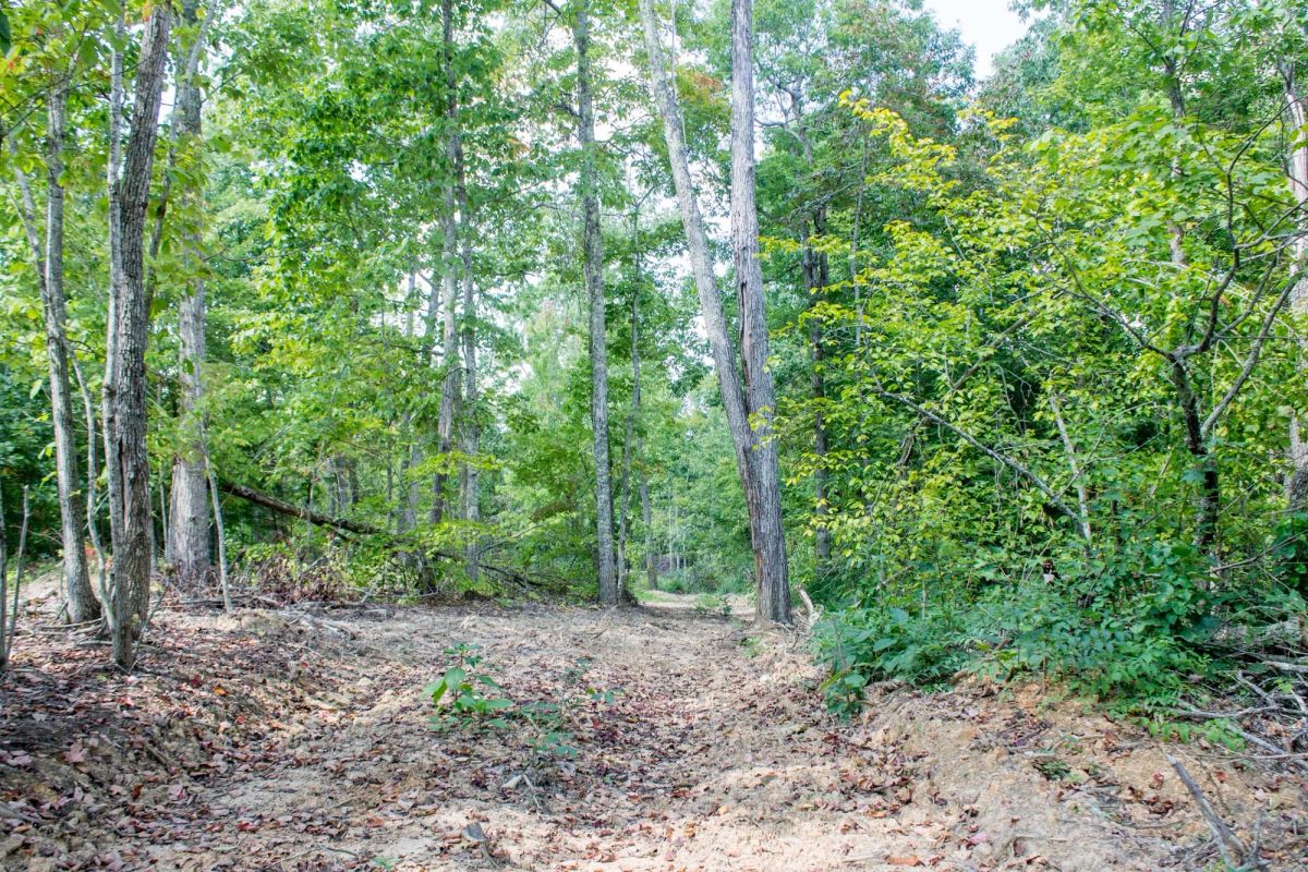 Buck Run Ridge Tract 3 - Image 3