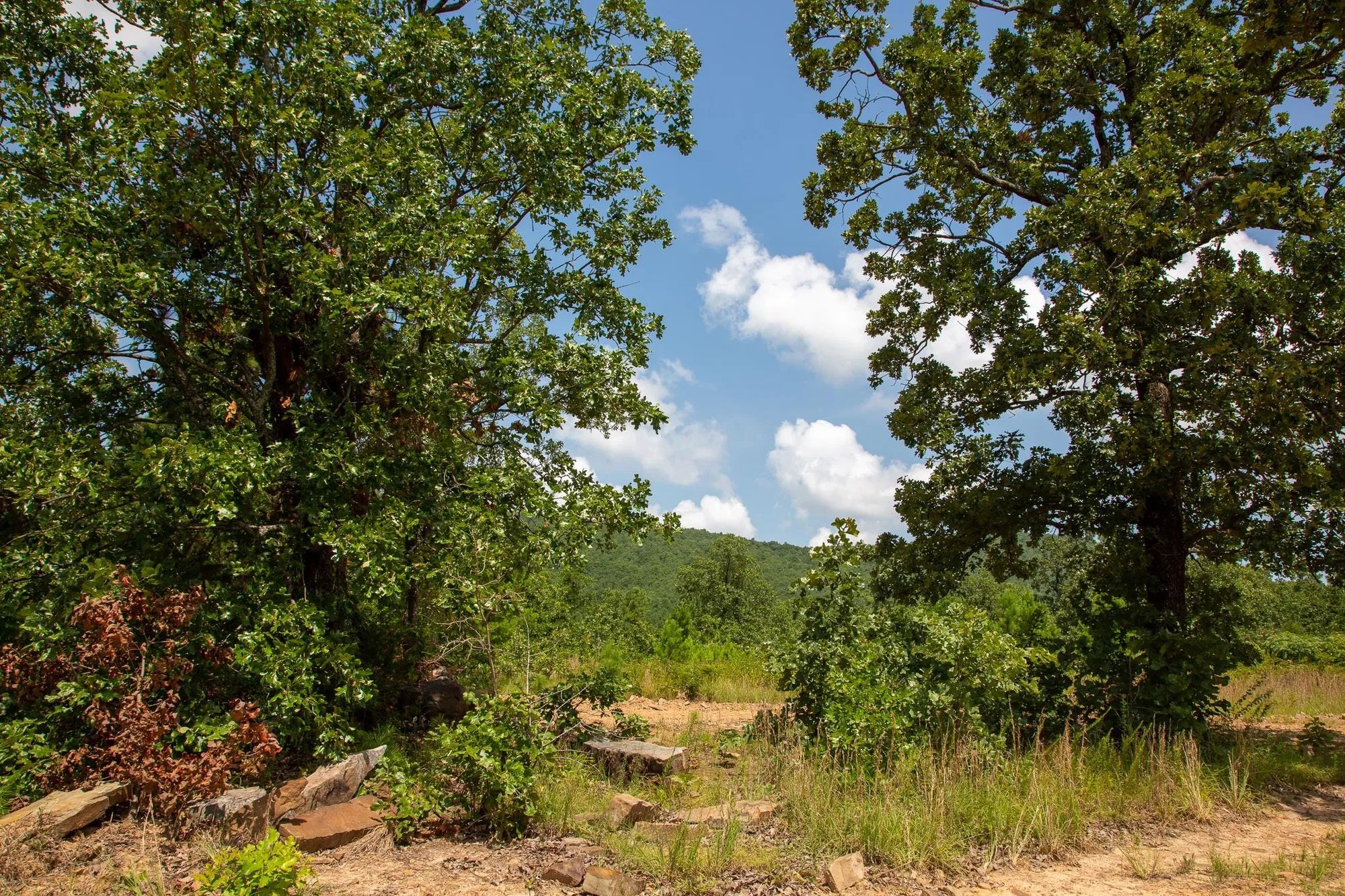 Tyler Stone Ranch Tract 58 in Le Flore County, OK