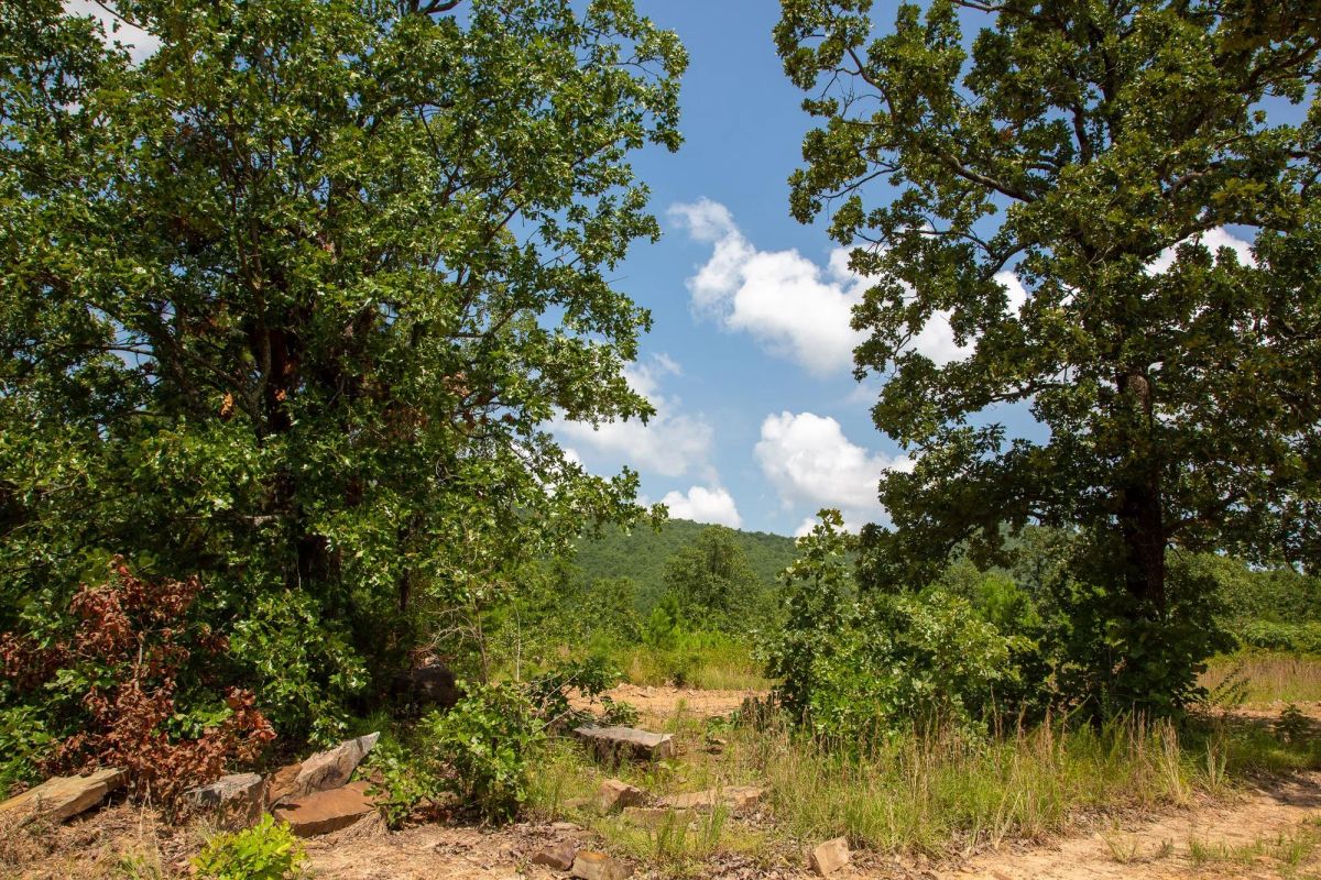 Tyler Stone Ranch Tract 58 - Main image