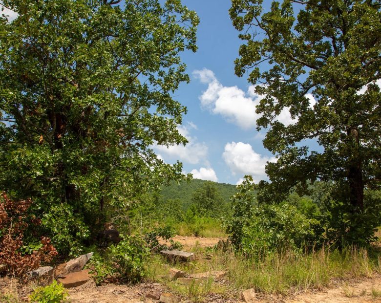 Tyler Stone Ranch Tract 58 in Le Flore County, OK