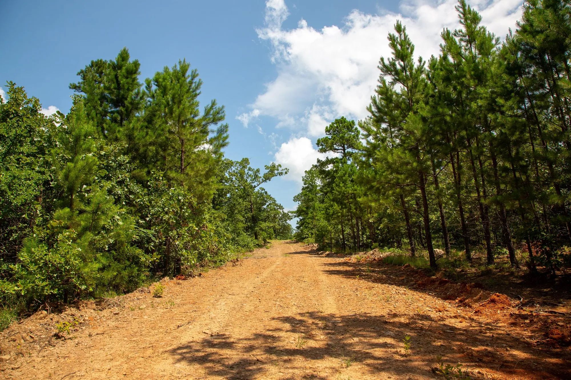 Tyler Stone Ranch Tract 58 in Le Flore County, OK