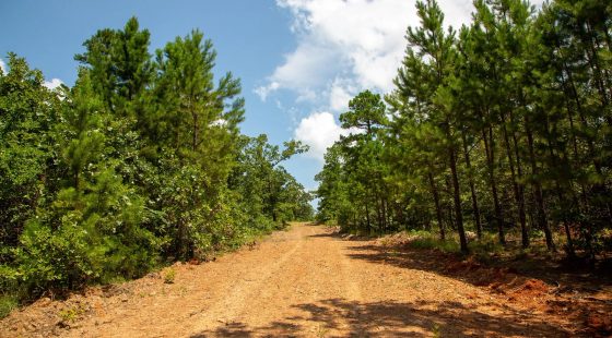 Tyler Stone Ranch Tract 58 in Le Flore County, OK