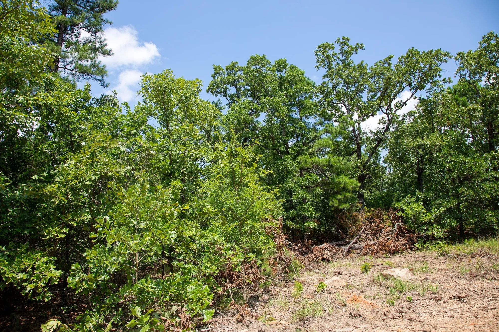 Tyler Stone Ranch Tract 58 in Le Flore County, OK