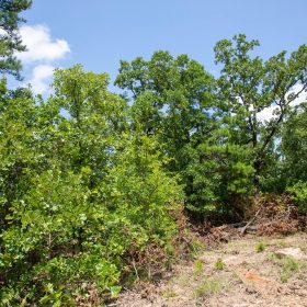 Tyler Stone Ranch Tract 58 in Le Flore County, OK