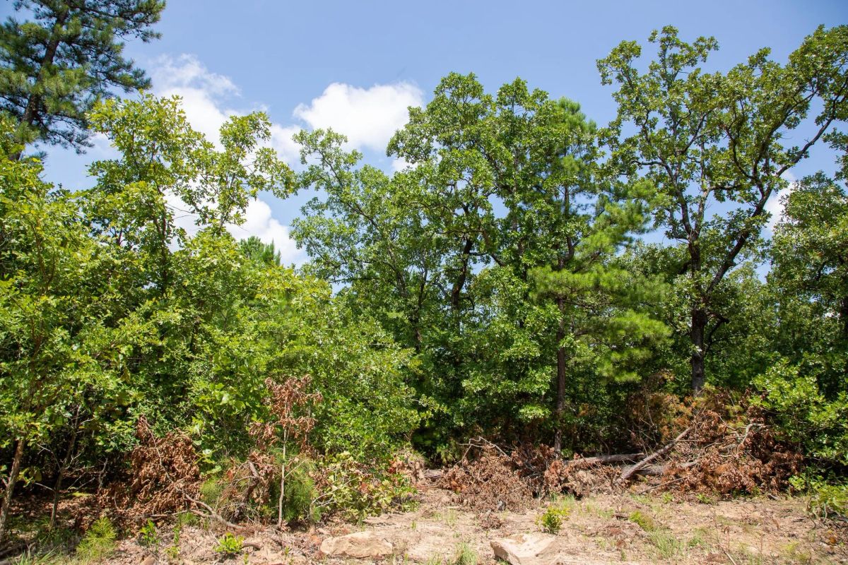 Decorative background for Tyler Stone Ranch Tract 58 image 5