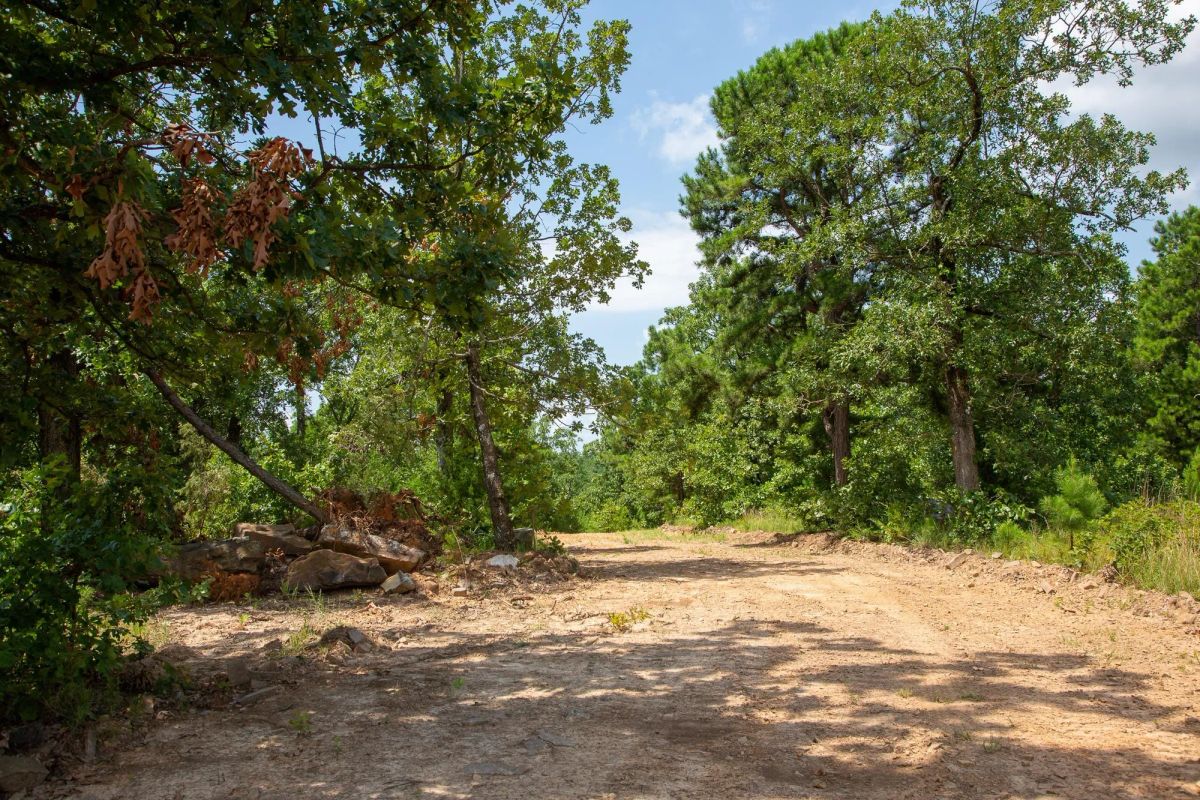 Decorative background for Tyler Stone Ranch Tract 58 image 7