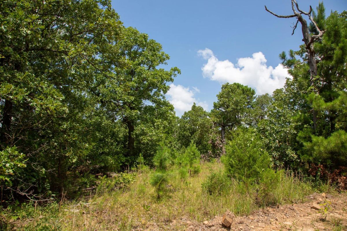 Decorative background for Tyler Stone Ranch Tract 58 image 9