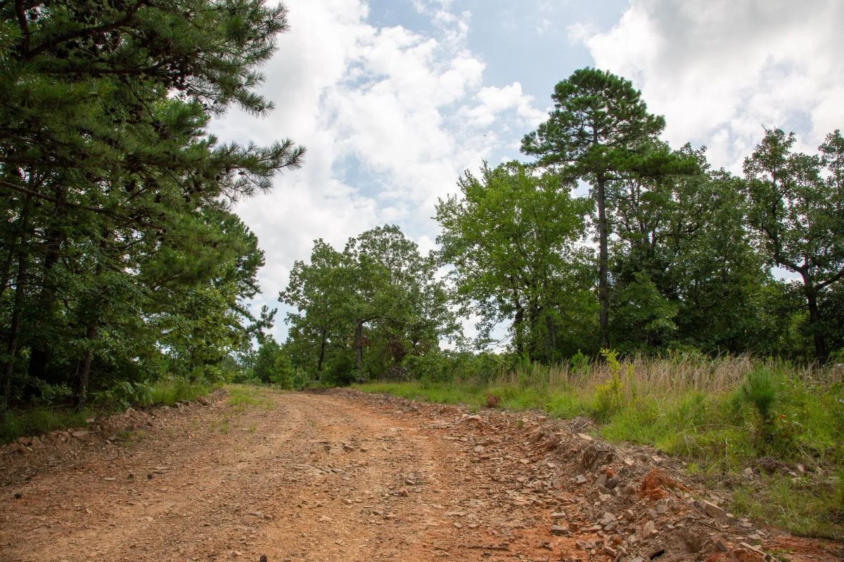 Decorative background for Tyler Stone Ranch Tract 58 image 10