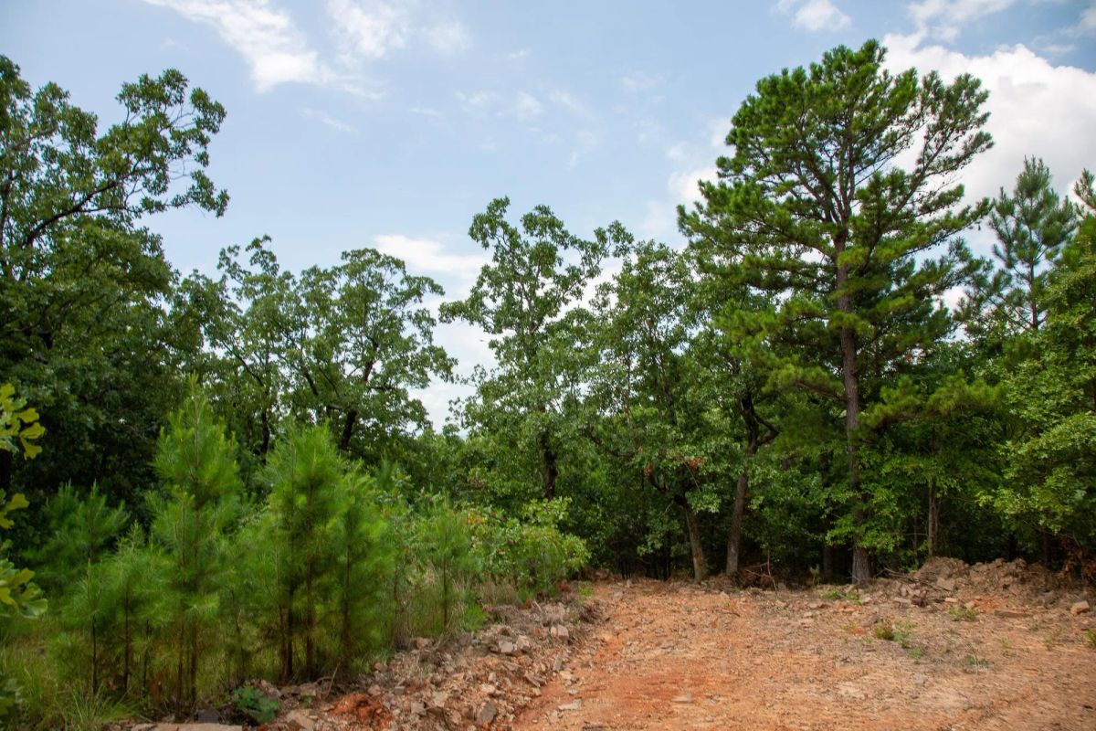 Decorative background for Tyler Stone Ranch Tract 58 image 13