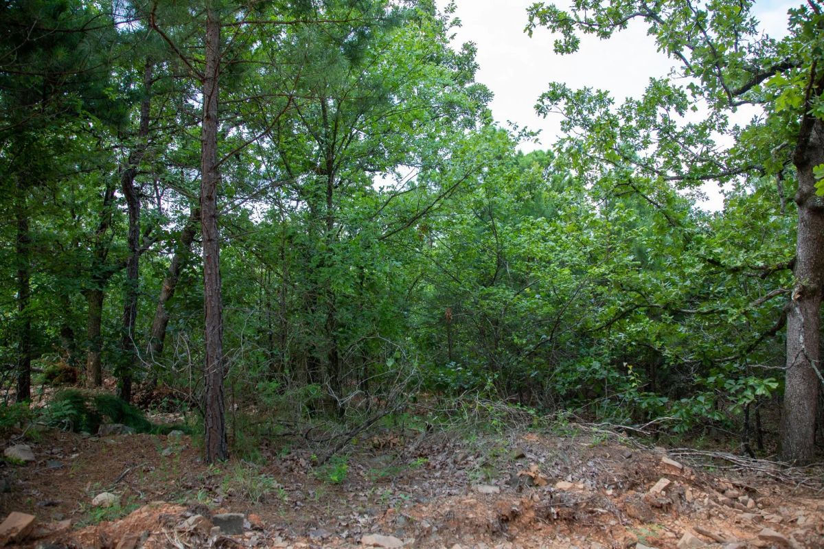 Decorative background for Tyler Stone Ranch Tract 58 image 14