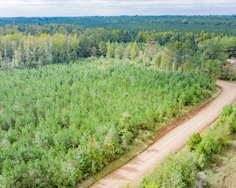 Sky Ranch Tract 1 in Attala County, MS