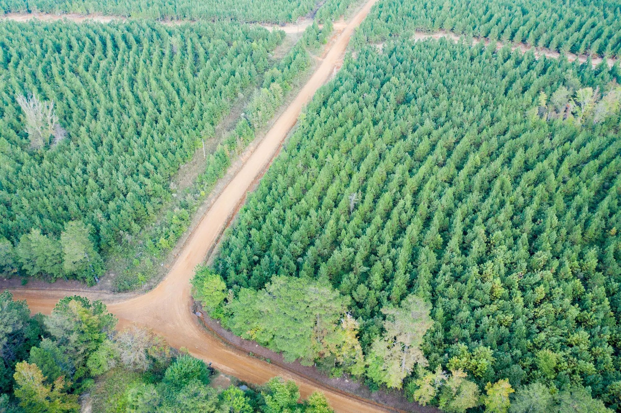Sky Ranch Tract 1 in Attala County, MS