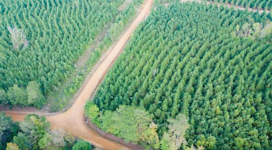 Sky Ranch Tract 1 in Attala County, MS
