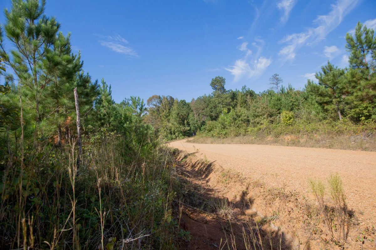 Decorative background for Sky Ranch Tract 1 image 6