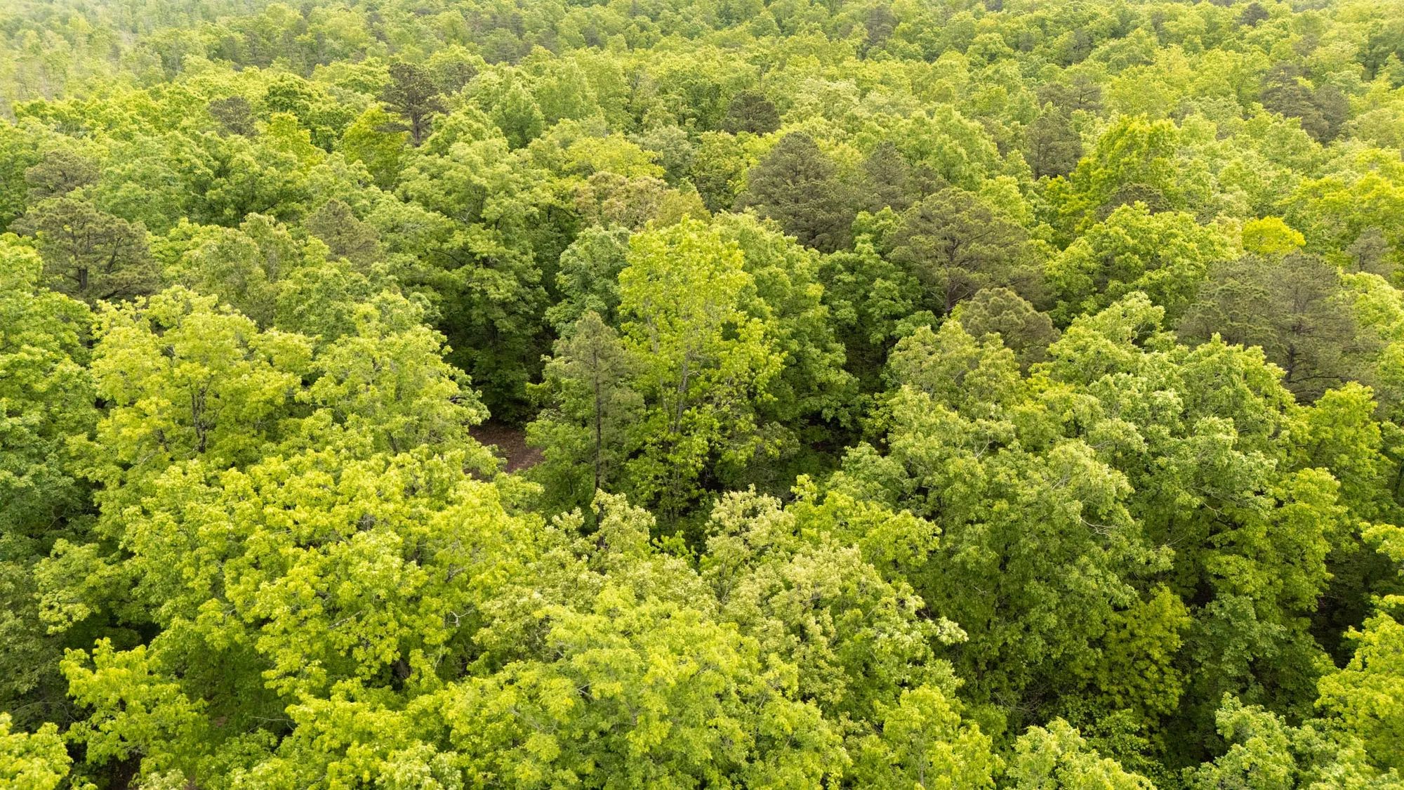 Stardust Estates Tract 24 in Reynolds County, MO
