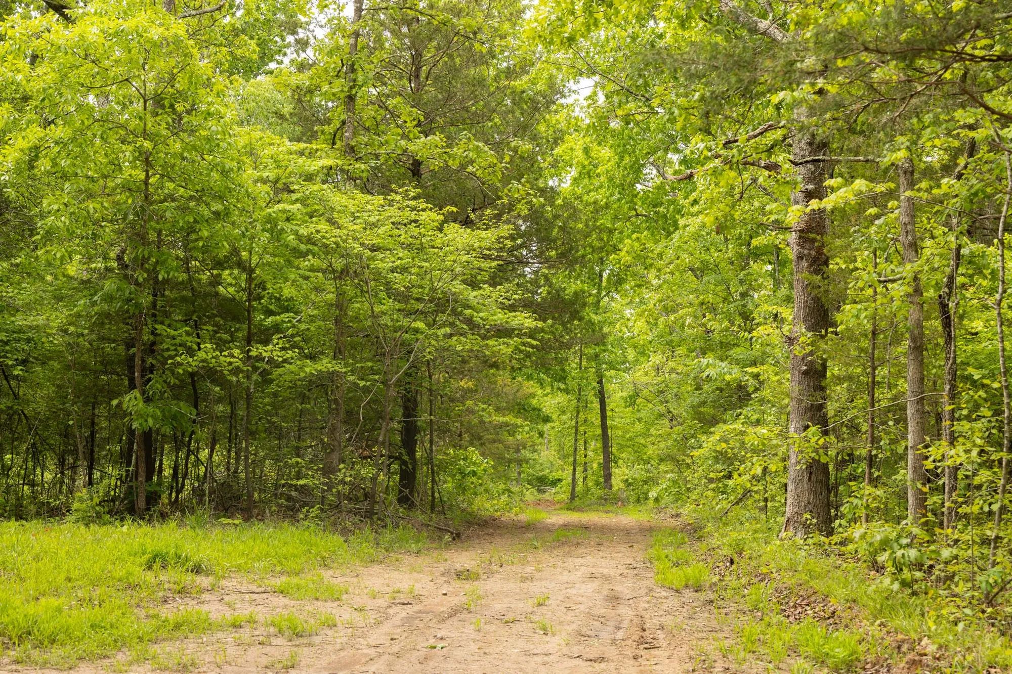 Stardust Estates Tract 24 in Reynolds County, MO