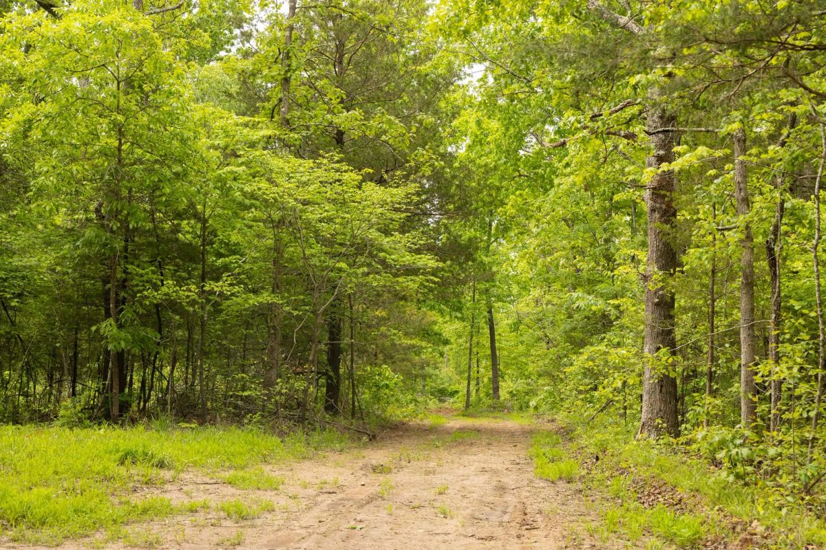Stardust Estates Tract 24 - Image 2
