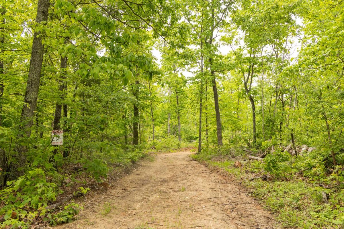 Stardust Estates Tract 24 - Image 4