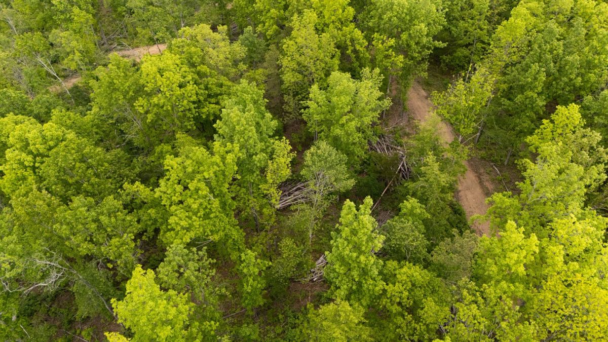 Decorative background for Stardust Estates Tract 24 image 9