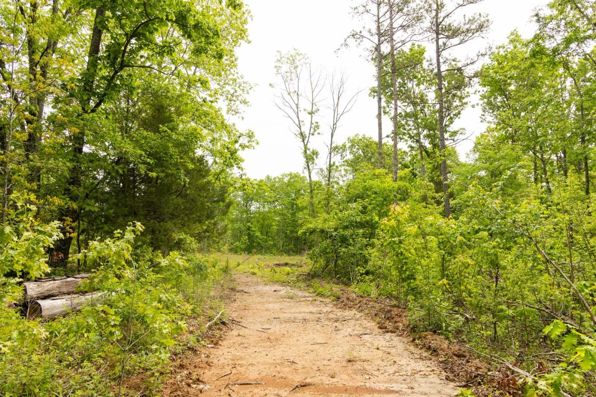 Decorative background for Stardust Estates Tract 24 image 10