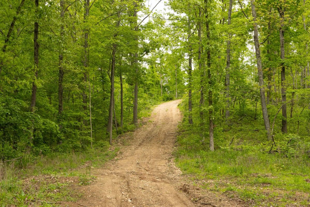 Stardust Estates Tract 5 - Image 2