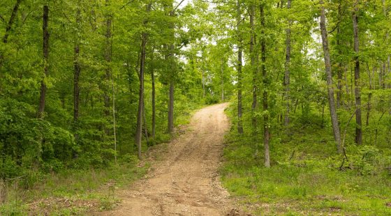 Stardust Estates Tract 5 in Reynolds County, MO