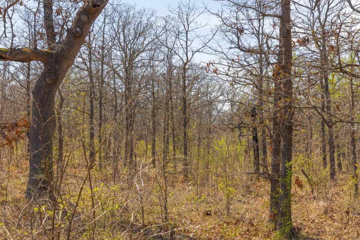 JLH Estates Tract 5 - Image 4