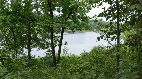 Spring Lake Plat 5 Tract 27 in Miller County, MO
